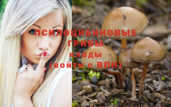 а пвп мука Алексин